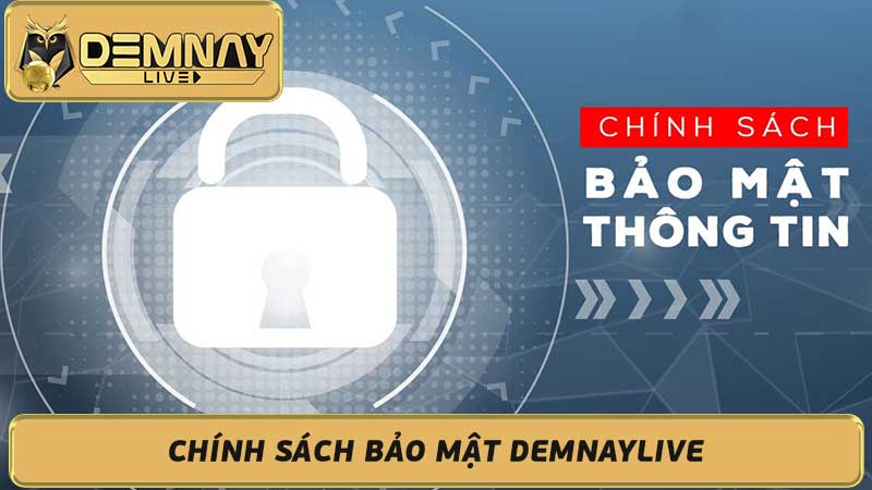 Chính sách bảo mật Demnaylive - Quyền riêng tư và an toàn