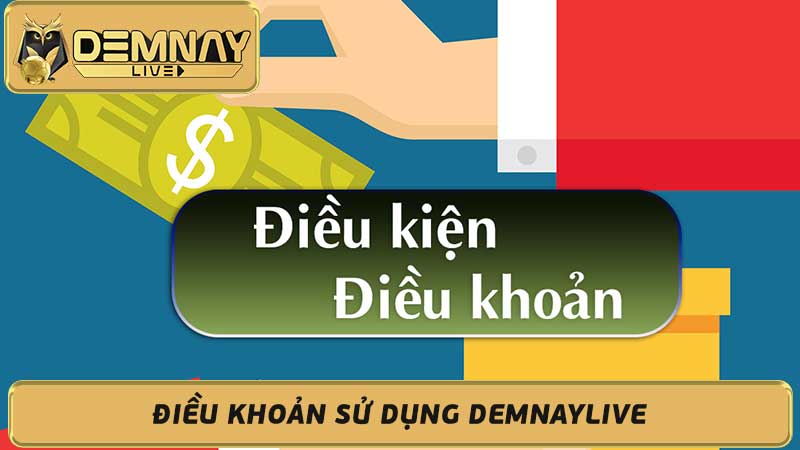 Điều khoản sử dụng Demnaylive - Cập nhật mới nhất