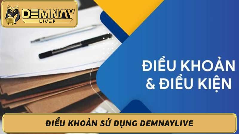 Điều khoản sử dụng Demnaylive - Cập nhật mới nhất