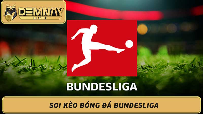 Soi Kèo Bóng Đá Bundesliga Nhận Định, Dự Đoán Kết Quả