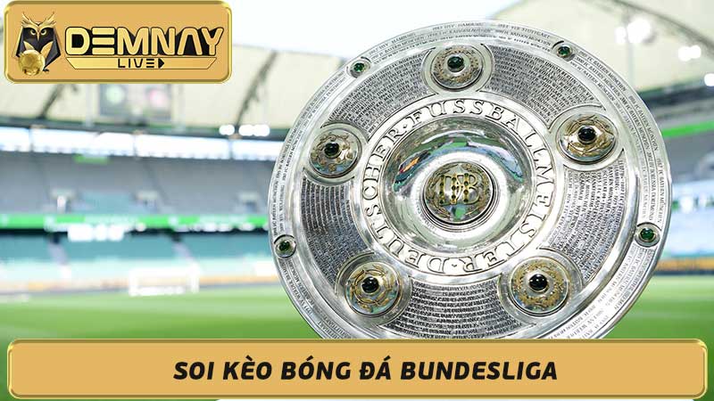 Soi Kèo Bóng Đá Bundesliga Nhận Định, Dự Đoán Kết Quả