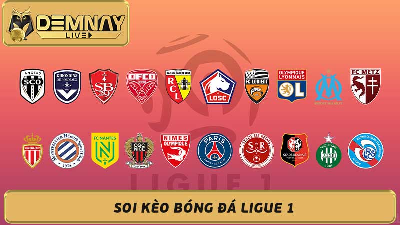 Soi kèo bóng đá Ligue 1 Bảng xếp hạng, kèo cược từ cao thủ